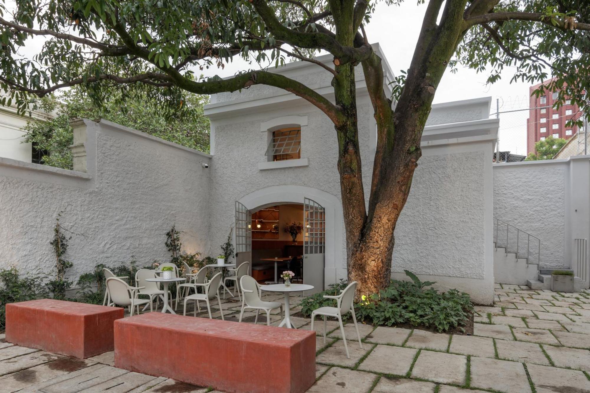Casa Bosque Eduviges Hotel Guadalajara Bagian luar foto